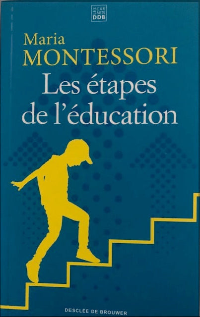 Les étapes de l'éducation